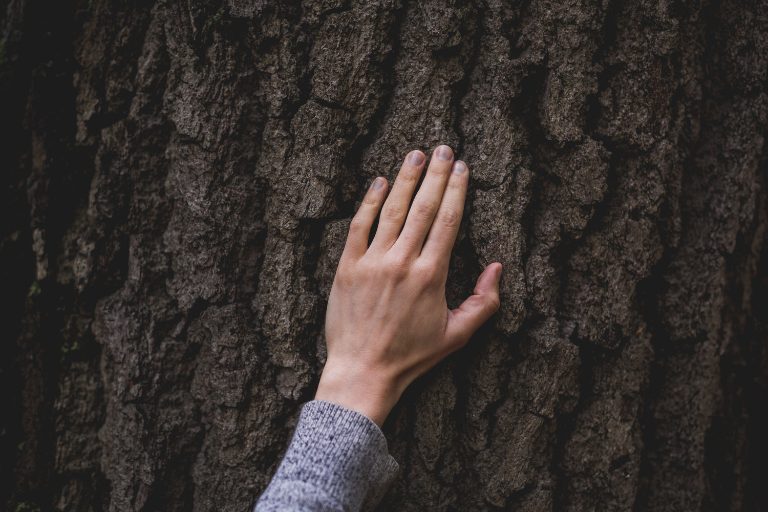 A customer of Lamington Therapies connecting to nature.